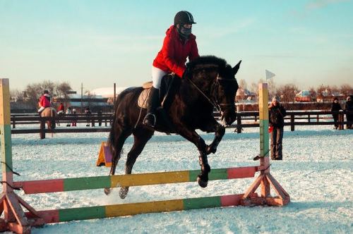 Конный спорт Иркутск, Верховая езда особенности, Конные клубы в Иркутске, Конный спорт стоимость